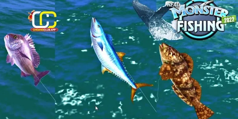 Các loại vũ khí và tính năng chuyên nghiệp